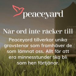 peaceyard_250x250.png