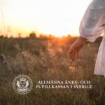 250250 ankan.jpg