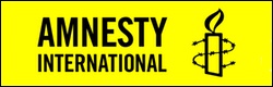 Amnesty International 250×80